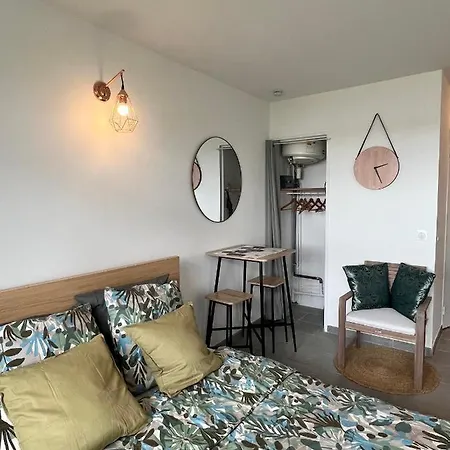 Studio Marina Baie Des Anges Apartment *
