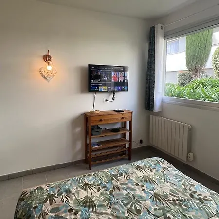 Studio Marina Baie Des Anges Apartment *